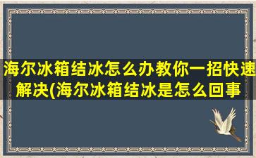 海尔冰箱结冰怎么办教你一招快速解决(海尔冰箱结冰是怎么回事 原因及解决办法大全)